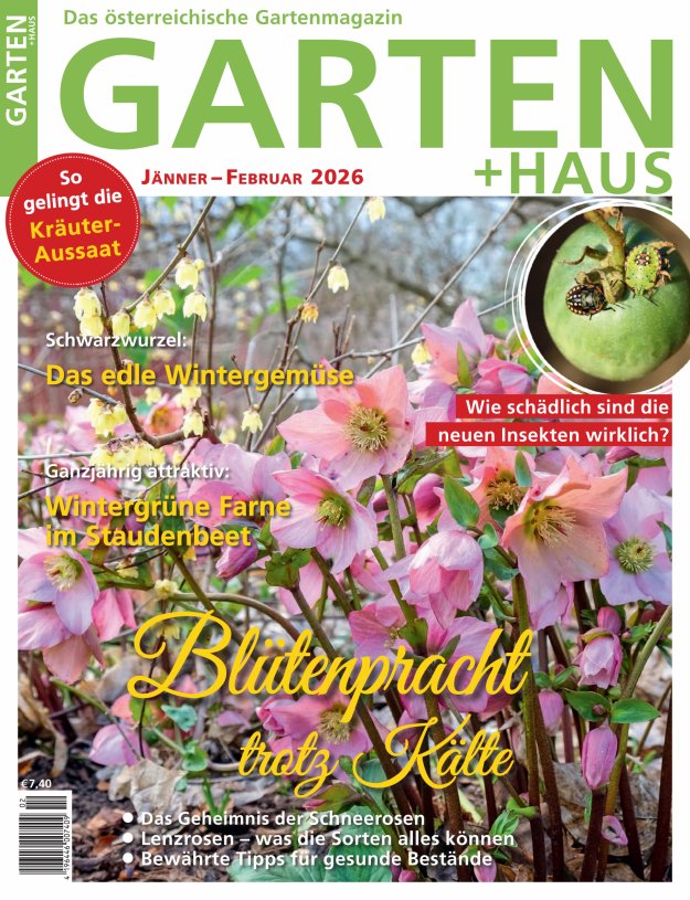 GARTEN+HAUS Ausgabe 1-2/2026