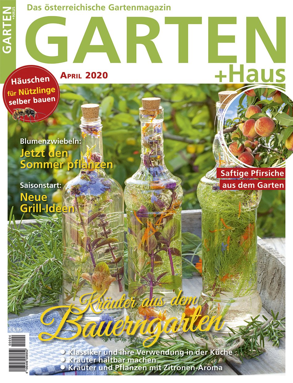 GARTEN+HAUS Ausgabe 4/2020 GARTEN+HAUS Ausgabe 4/2020