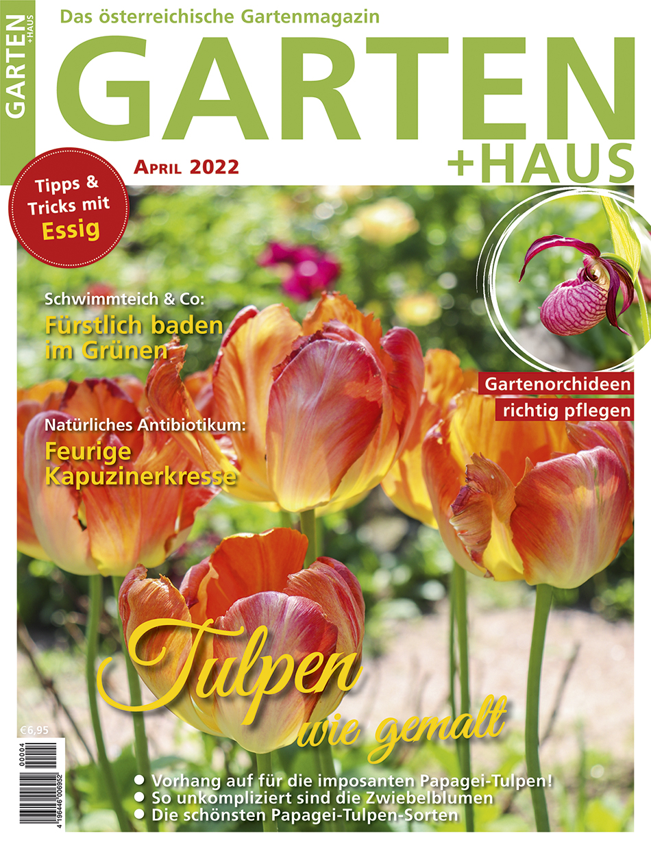 GARTEN+HAUS Ausgabe 4/02022 GARTEN+HAUS Ausgabe 4/02022