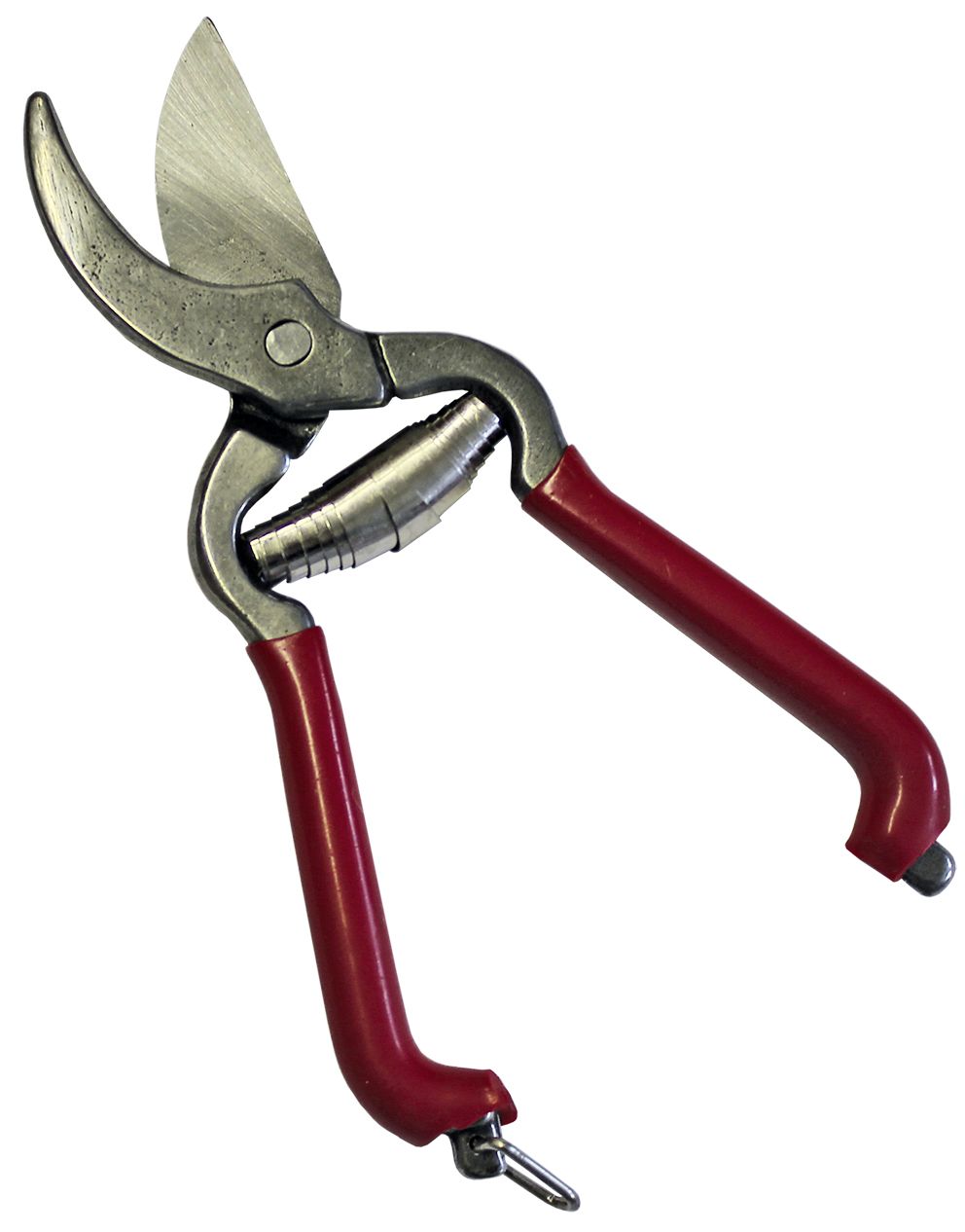 Handliche Zimmerpflanzenschere Handliche Zimmerpflanzenschere