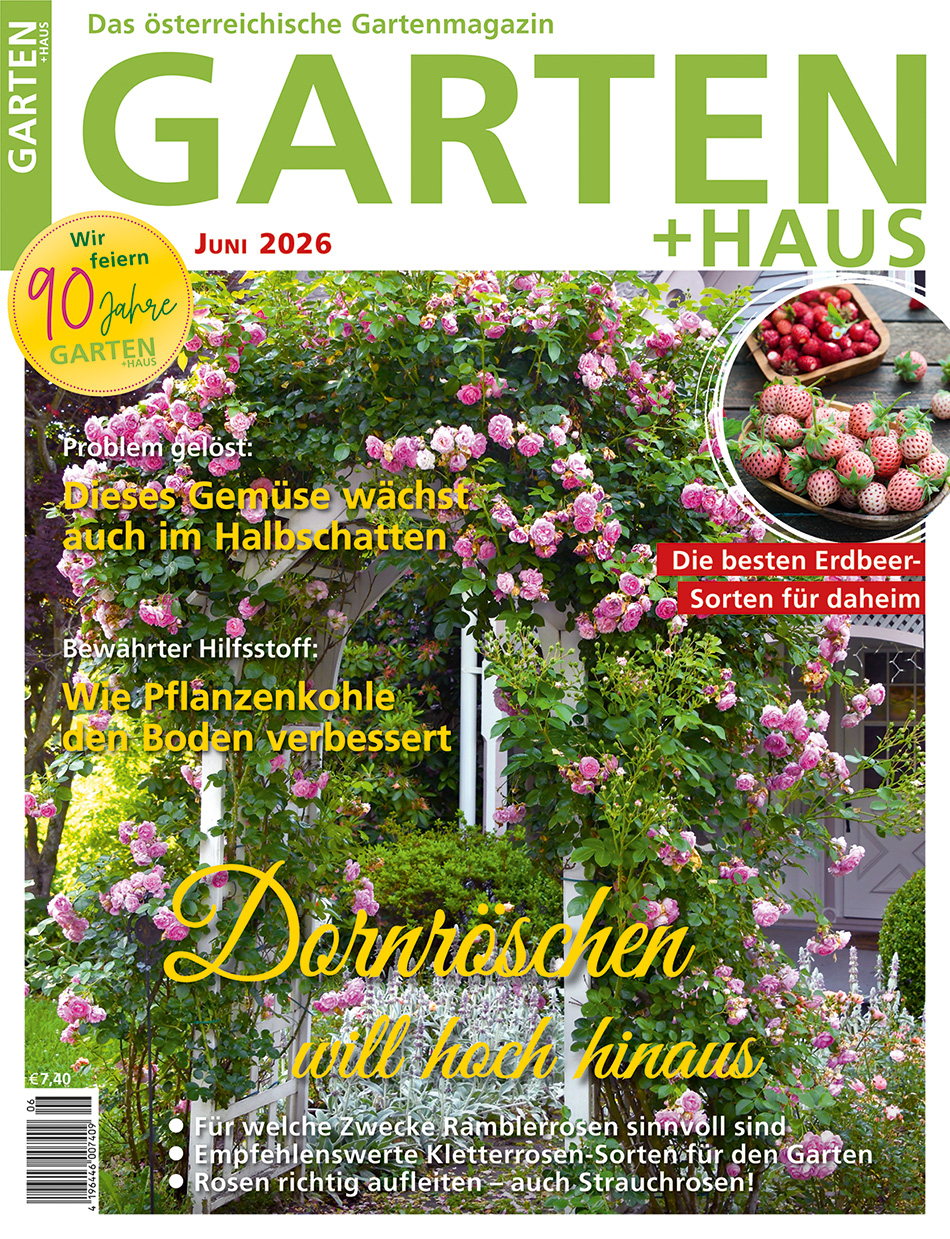 GARTEN+HAUS Ausgabe 6/2026