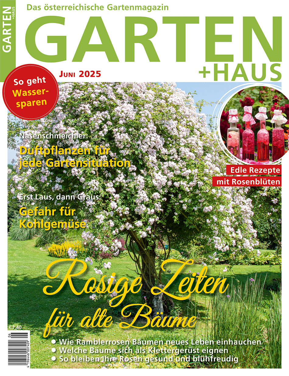 GARTEN+HAUS Ausgabe 6/2025 GARTEN+HAUS Ausgabe 6/2025