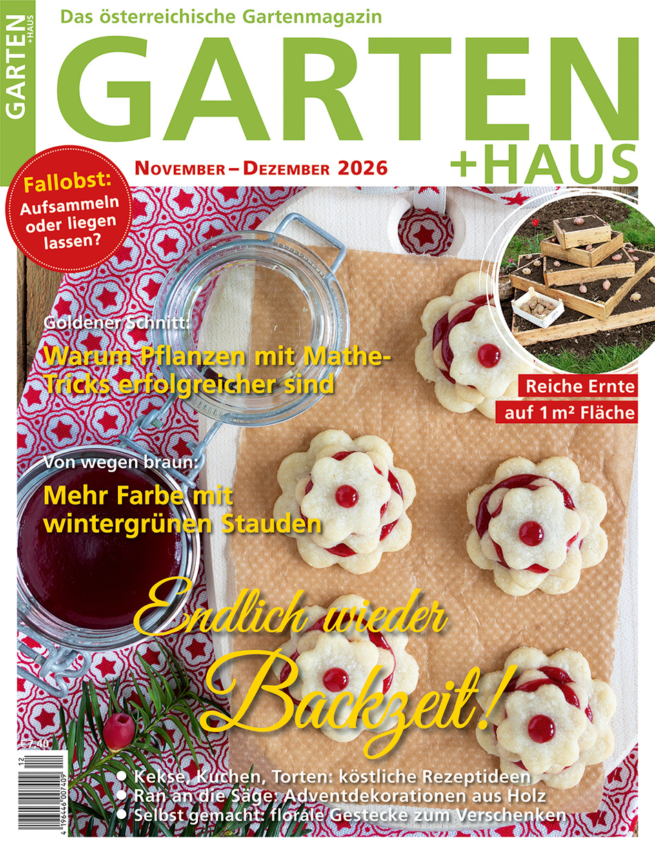 GARTEN+HAUS Ausgabe 11-12/2026