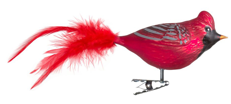 Glasvogel "Roter Kardinal" Glasvogel "Roter Kardinal"
