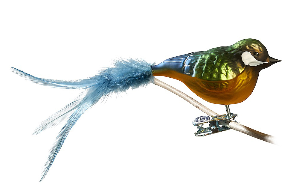 Glasvogel "Kohlmeise"