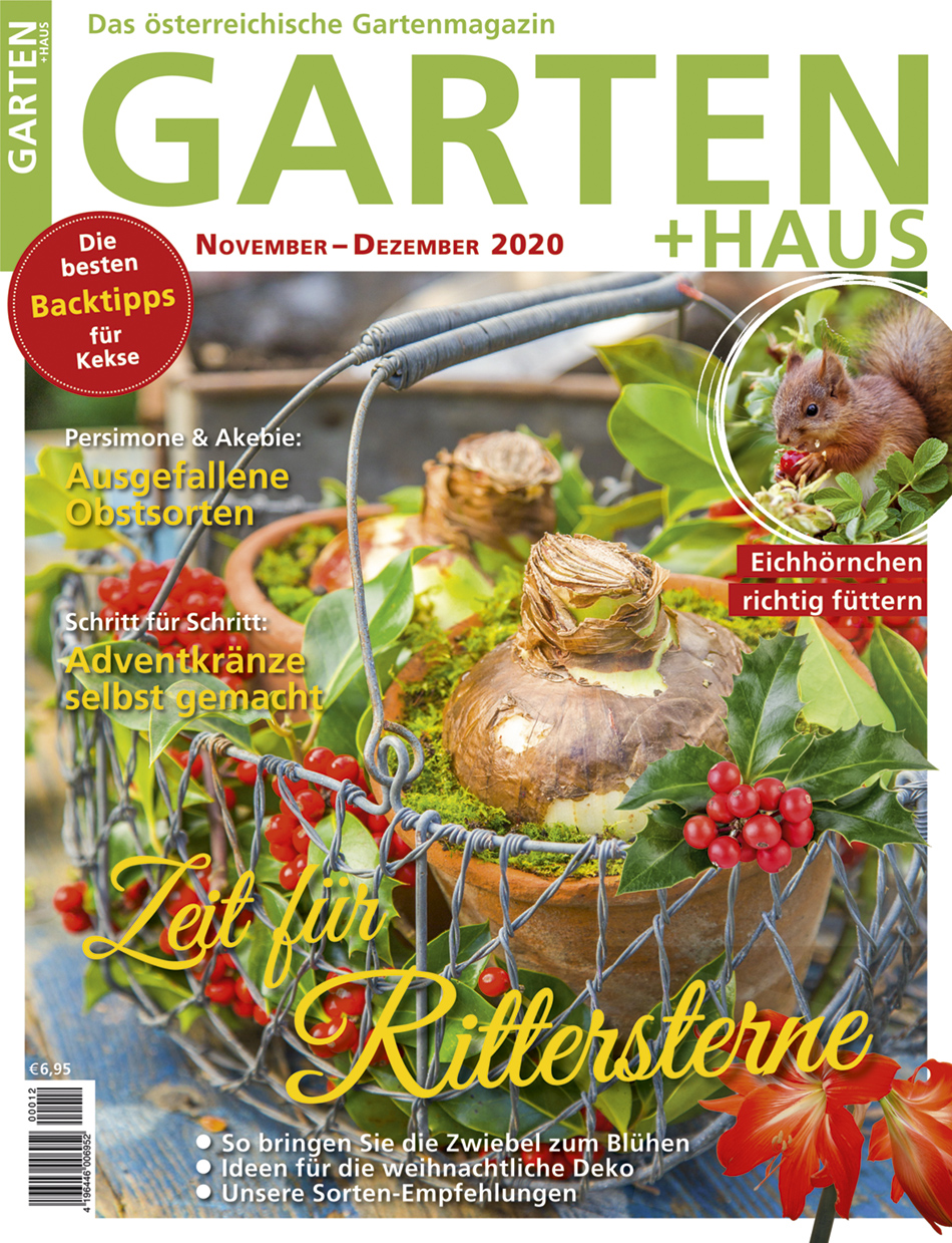 GARTEN+HAUS Ausgabe 11-12/2020 GARTEN+HAUS Ausgabe 11-12/2020