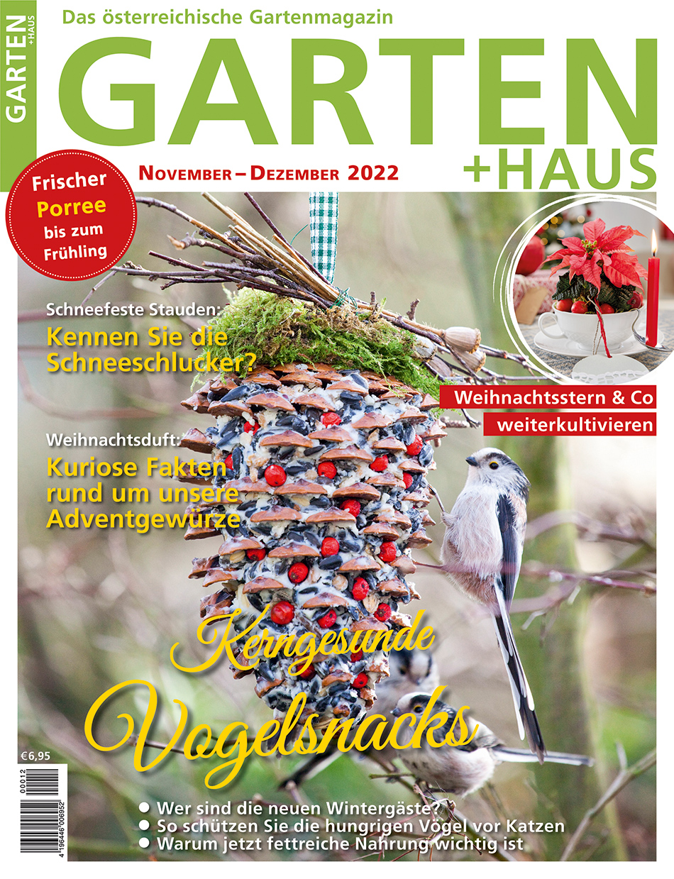 GARTEN+HAUS Ausgabe 11-12/2022 GARTEN+HAUS Ausgabe 11-12/2022