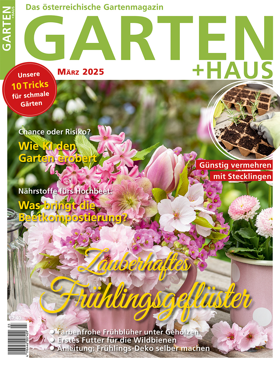 GARTEN+HAUS Ausgabe 3/2025