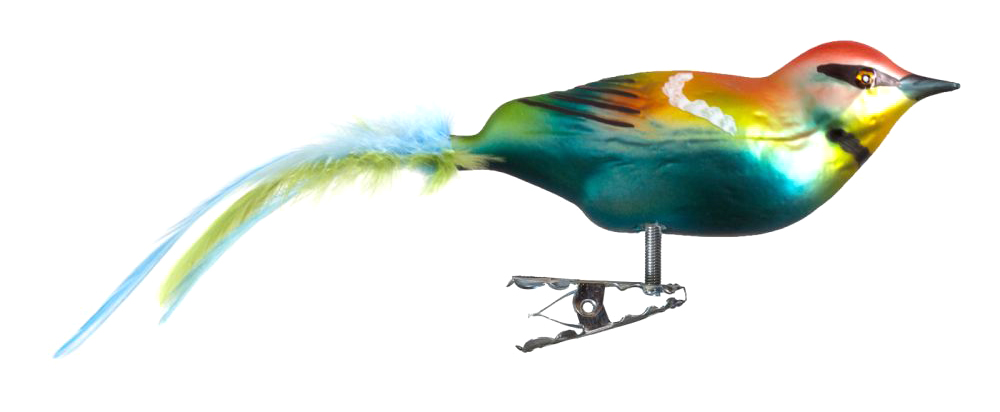 Glasvogel "Bienenfresser"