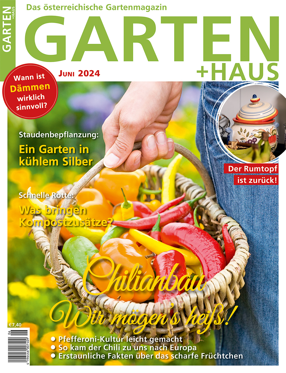 GARTEN+HAUS Ausgabe 6/2024 GARTEN+HAUS Ausgabe 6/2024