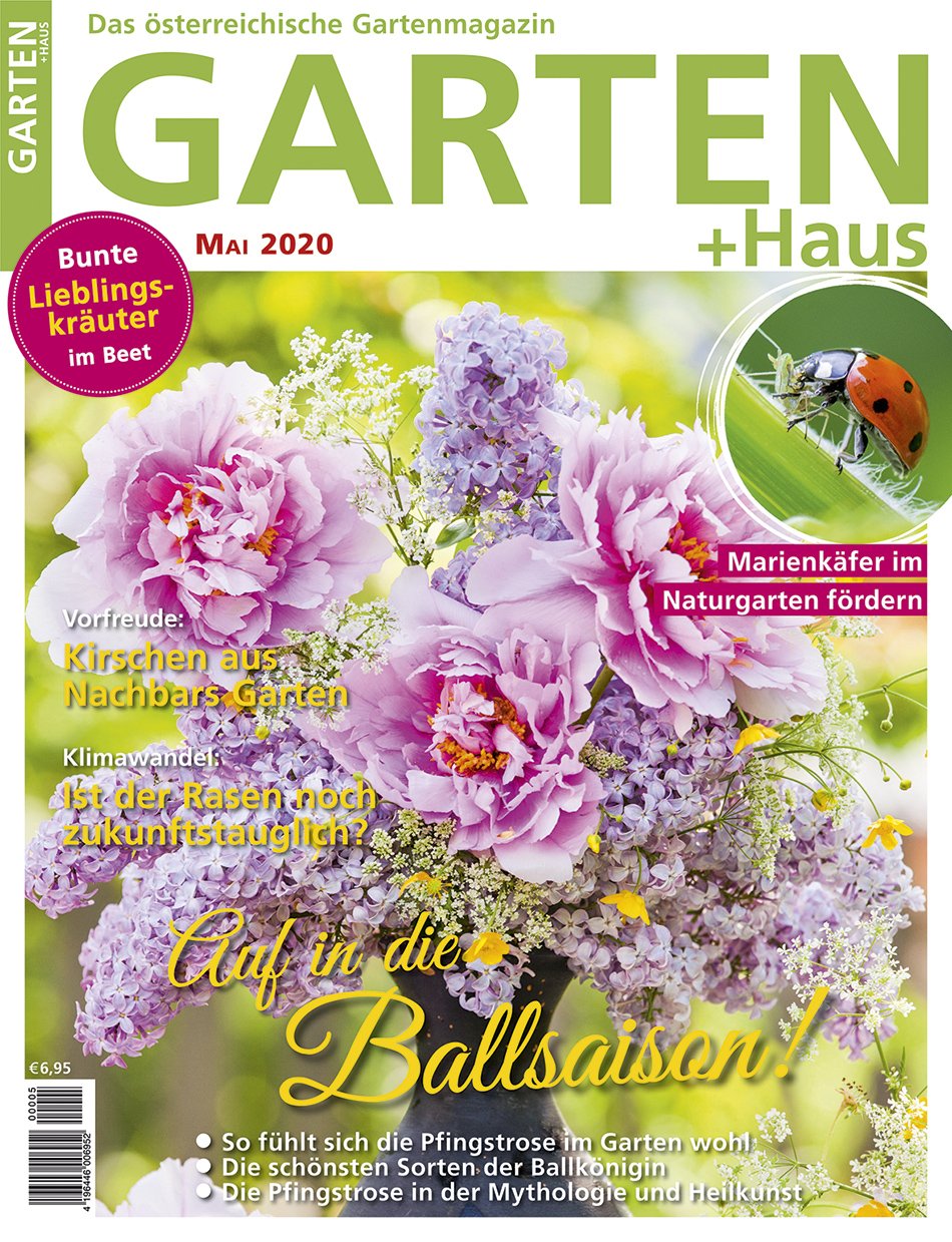GARTEN+HAUS Ausgabe 5/2020 GARTEN+HAUS Ausgabe 5/2020