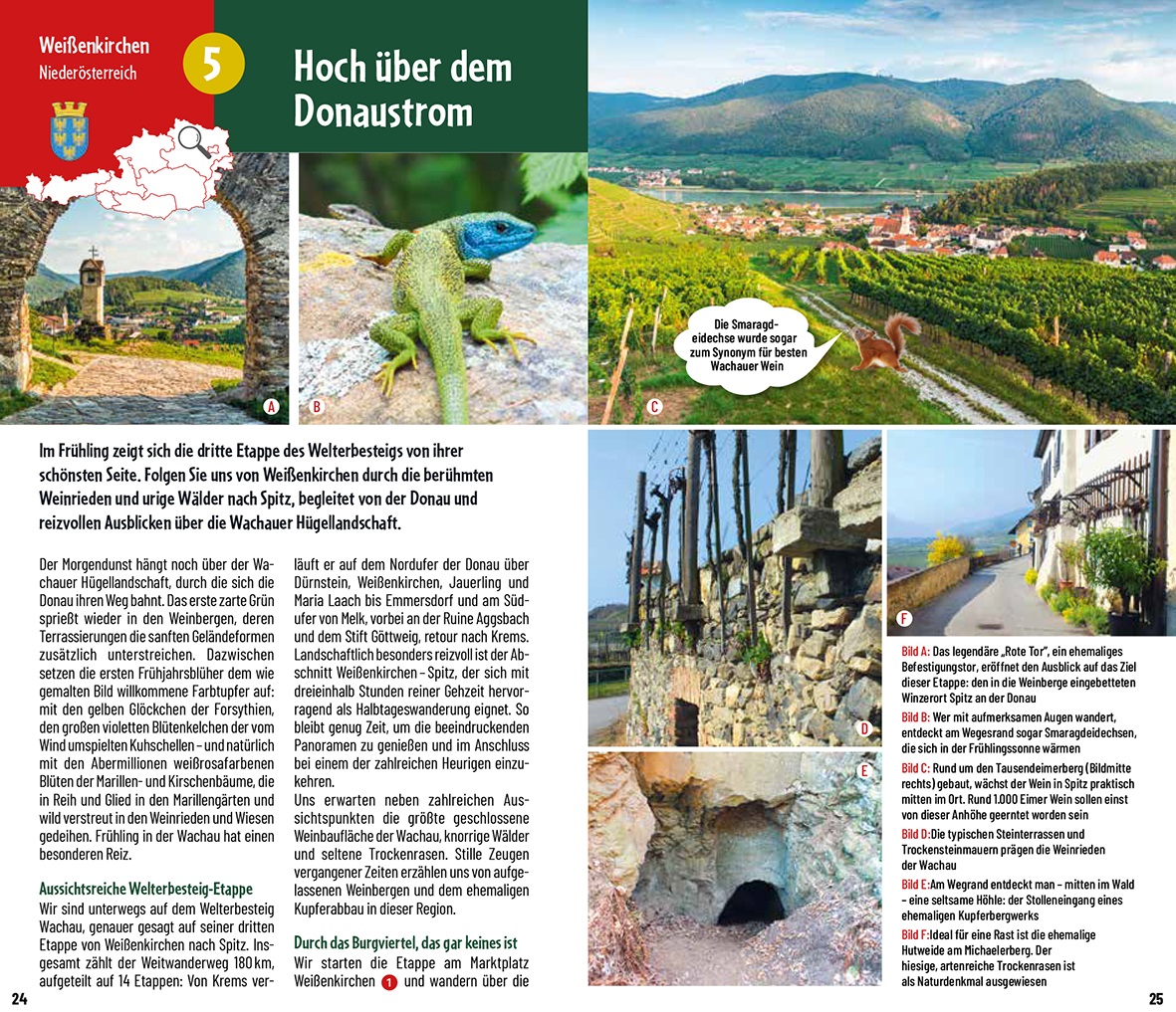 Wanderliebe – Schritt für Schritt durch Österreich Wanderliebe – Schritt für Schritt durch Österreich