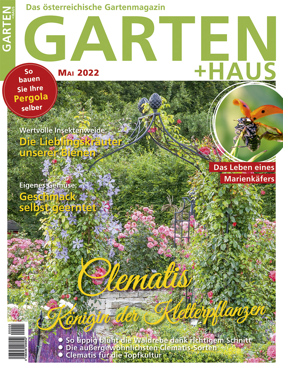 GARTEN+HAUS Ausgabe 5/2022 GARTEN+HAUS Ausgabe 5/2022