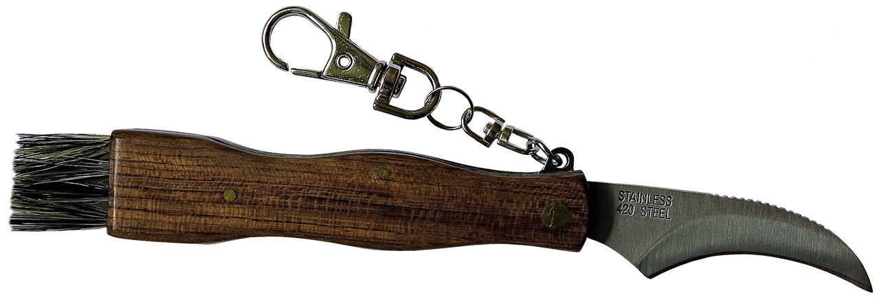 Schwammerlmesser mit Pinsel Schwammerlmesser mit Pinsel