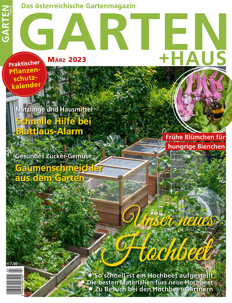 GARTEN+HAUS Ausgabe 3/2023 GARTEN+HAUS Ausgabe 3/2023