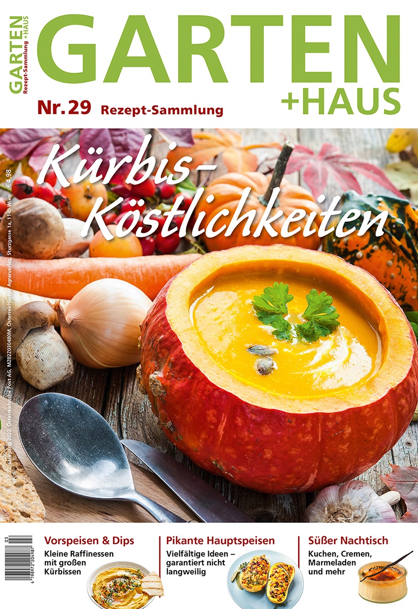 Rezept-Sammlung 29 – Kürbis-Köstlichkeiten Rezept-Sammlung 29 – Kürbis-Köstlichkeiten