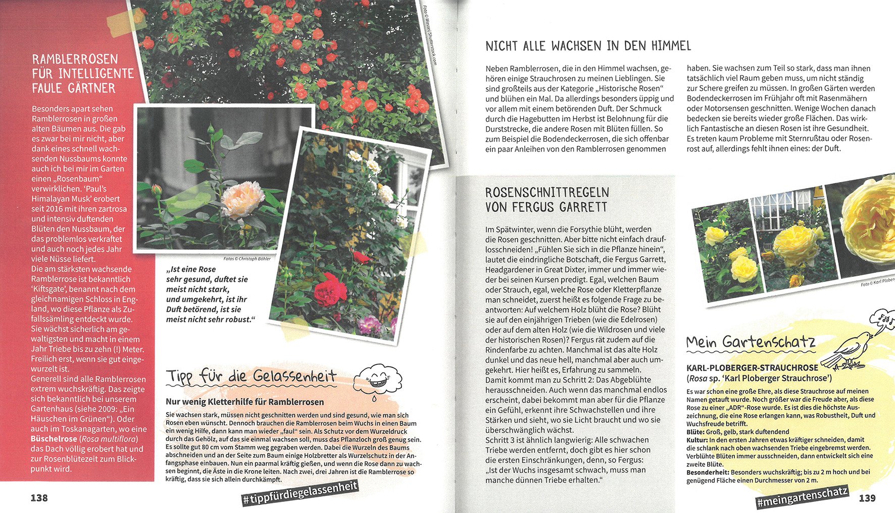 Genau so geht Bio-Garten