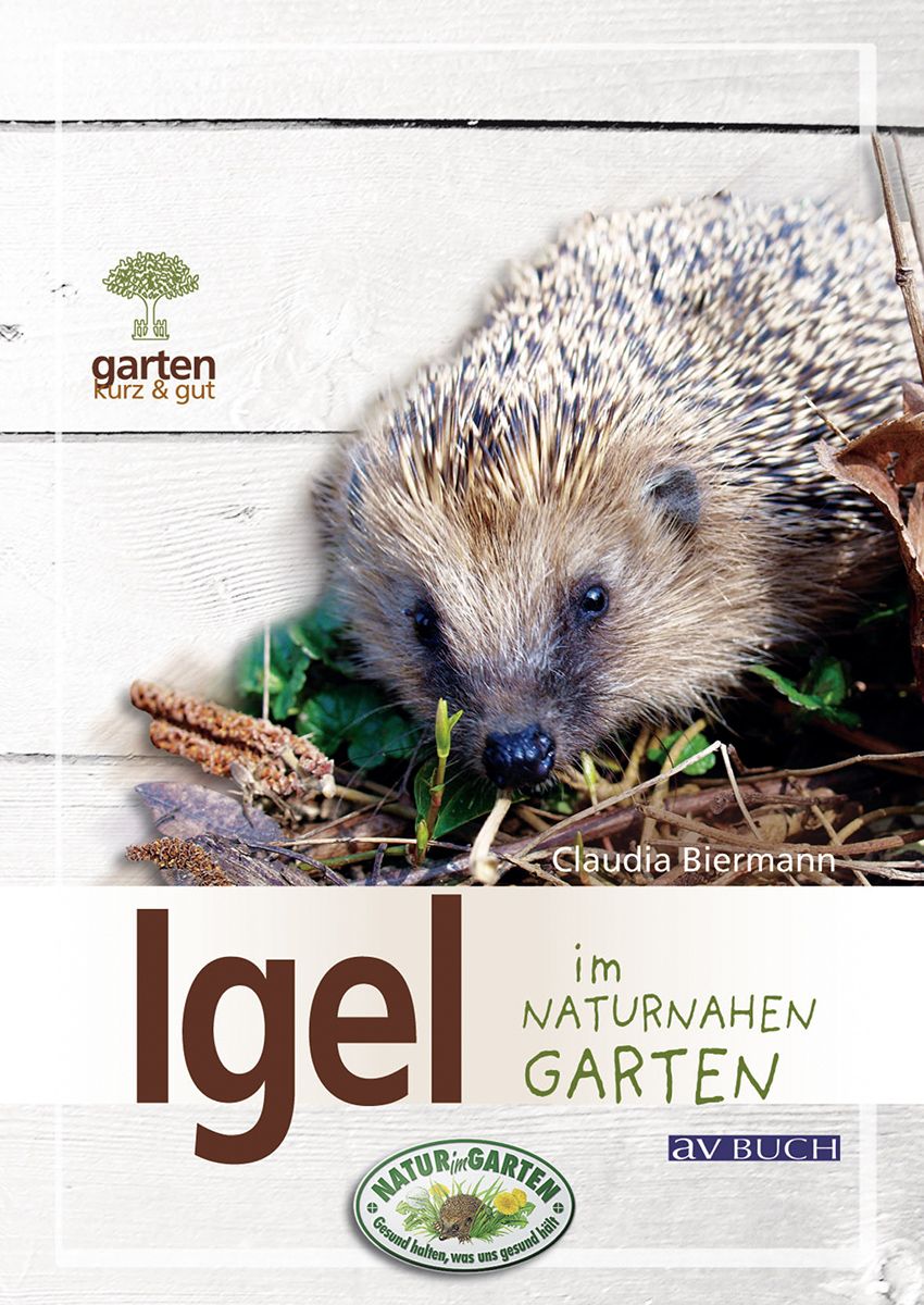 Igel im naturnahen Garten Igel im naturnahen Garten