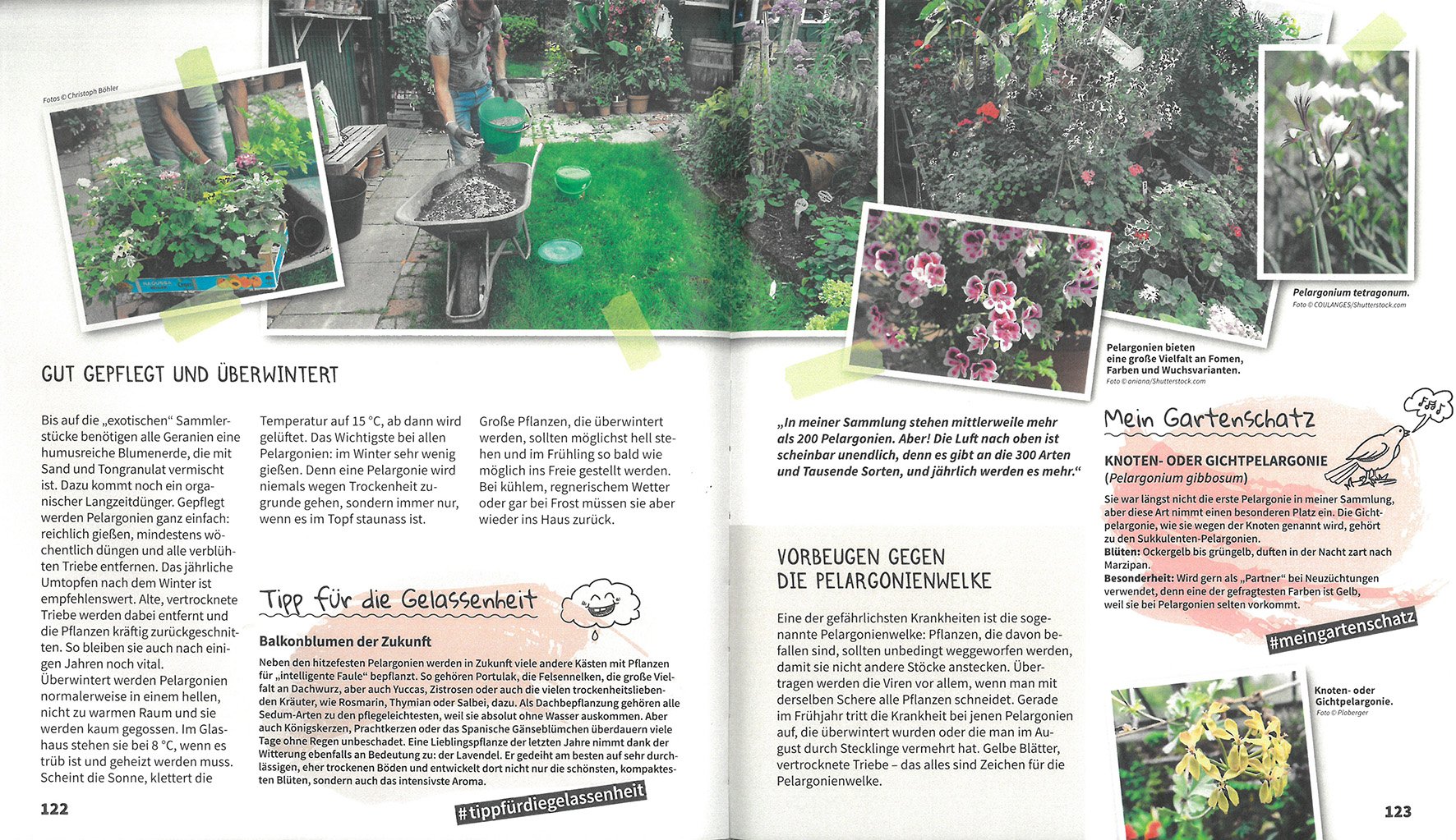 Genau so geht Bio-Garten