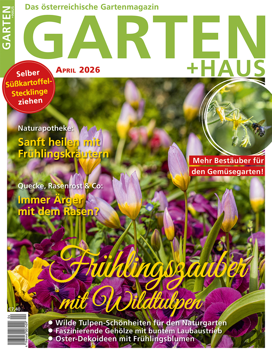 GARTEN+HAUS Ausgabe 4/2026 GARTEN+HAUS Ausgabe 4/2026