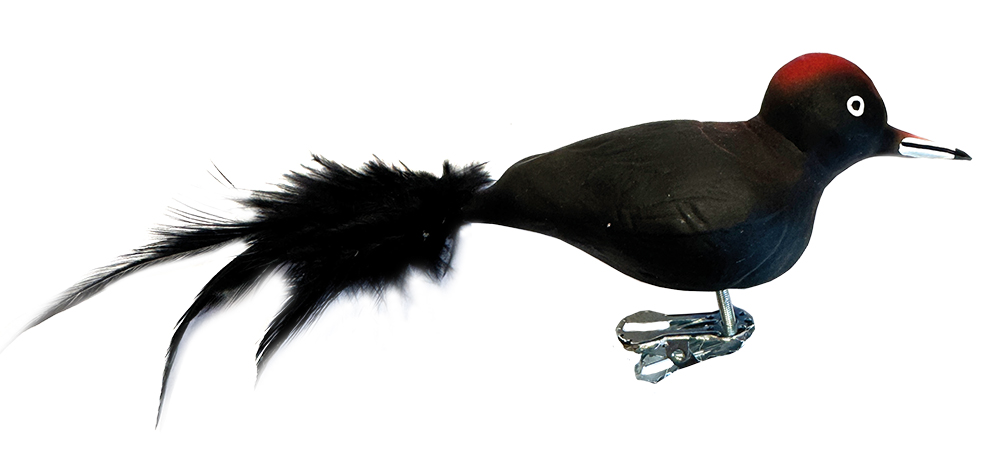 Glasvogel "Schwarzspecht" Glasvogel "Schwarzspecht"