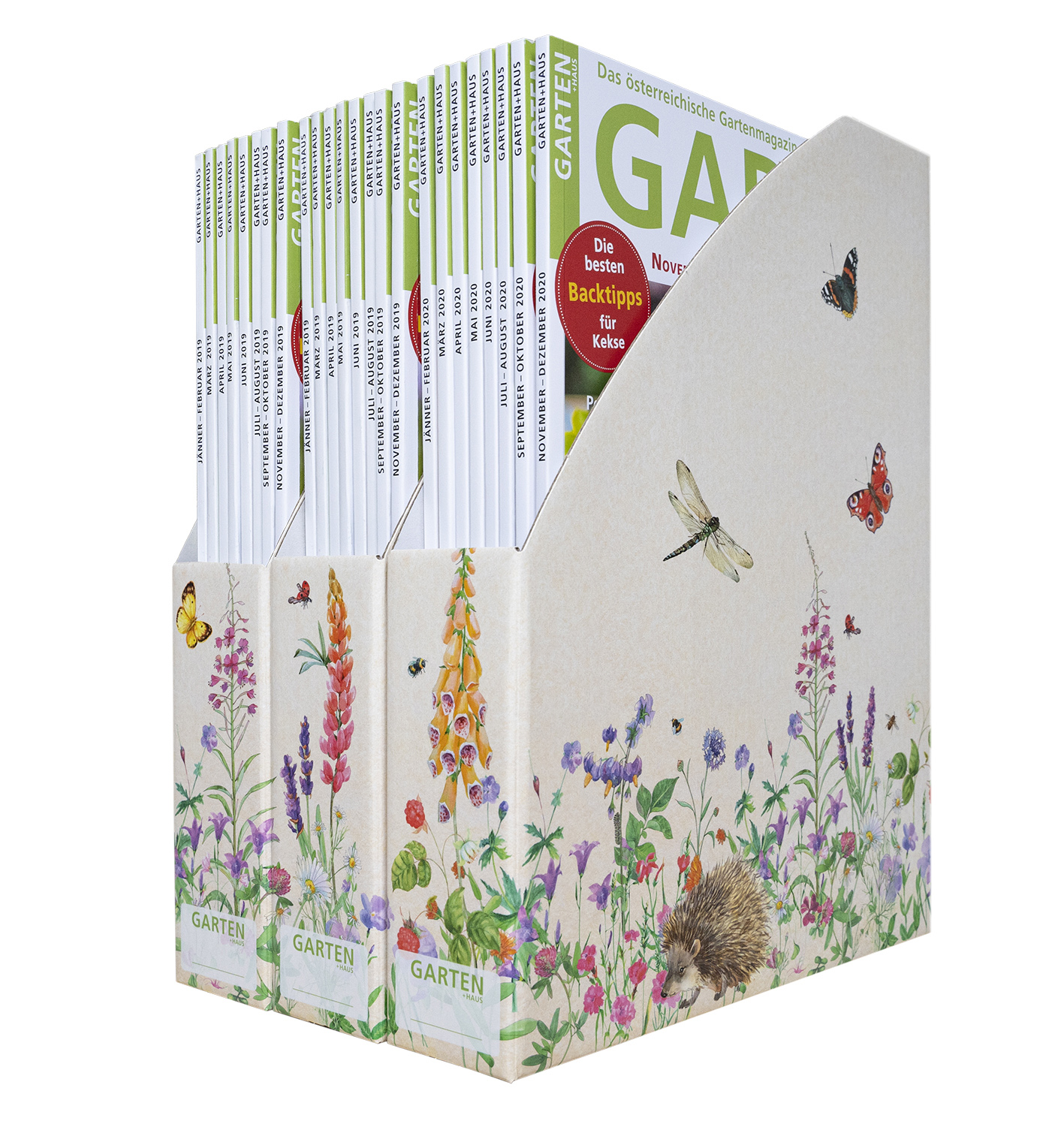 Sammelbox "Lupine"