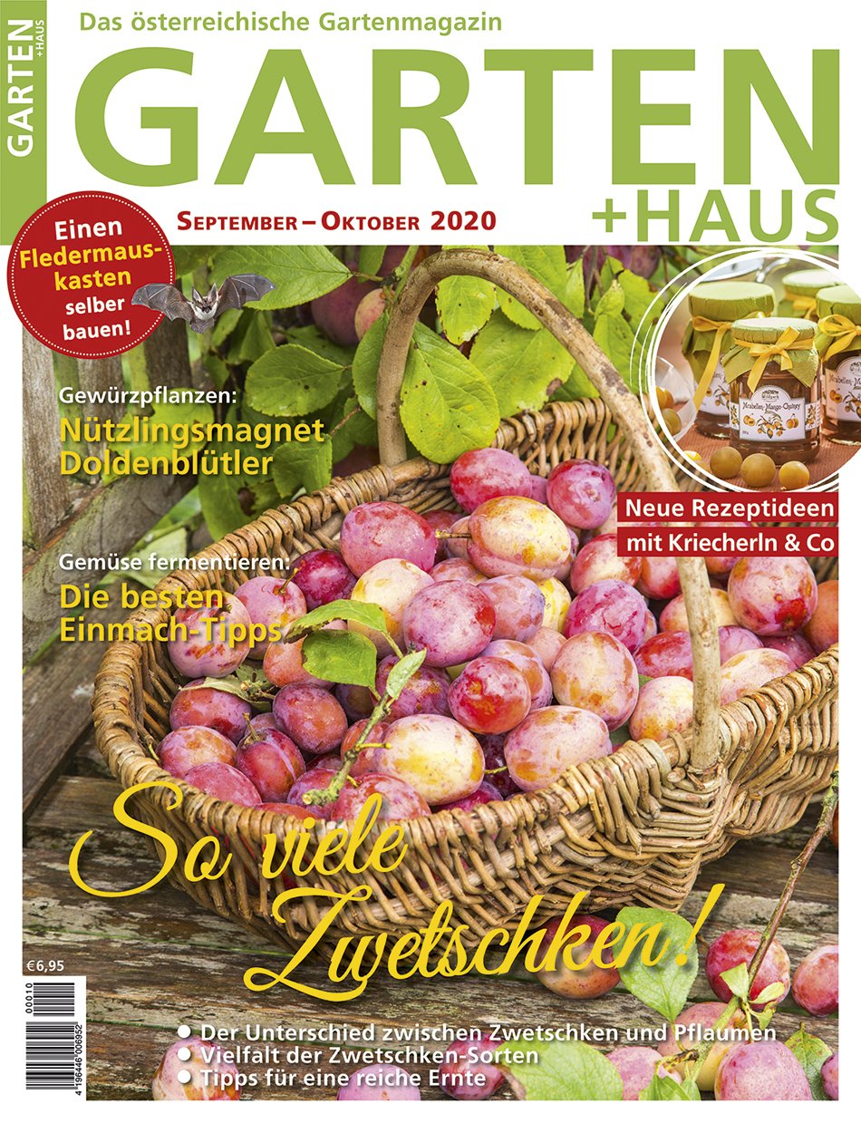 GARTEN+HAUS Ausgabe 9-10/2020 GARTEN+HAUS Ausgabe 9-10/2020