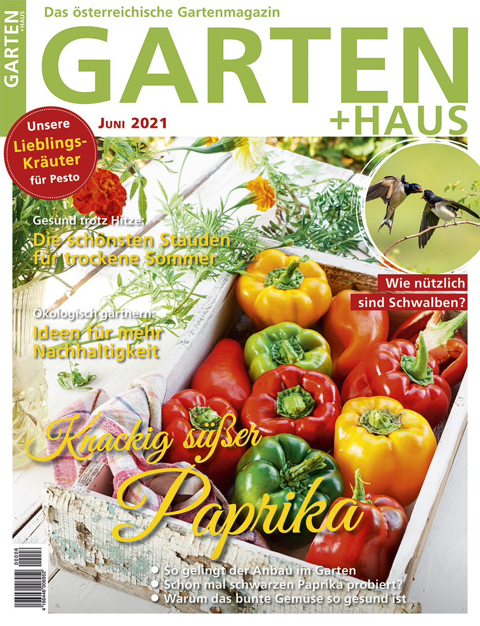 GARTEN+HAUS Ausgabe 6/2021 GARTEN+HAUS Ausgabe 6/2021