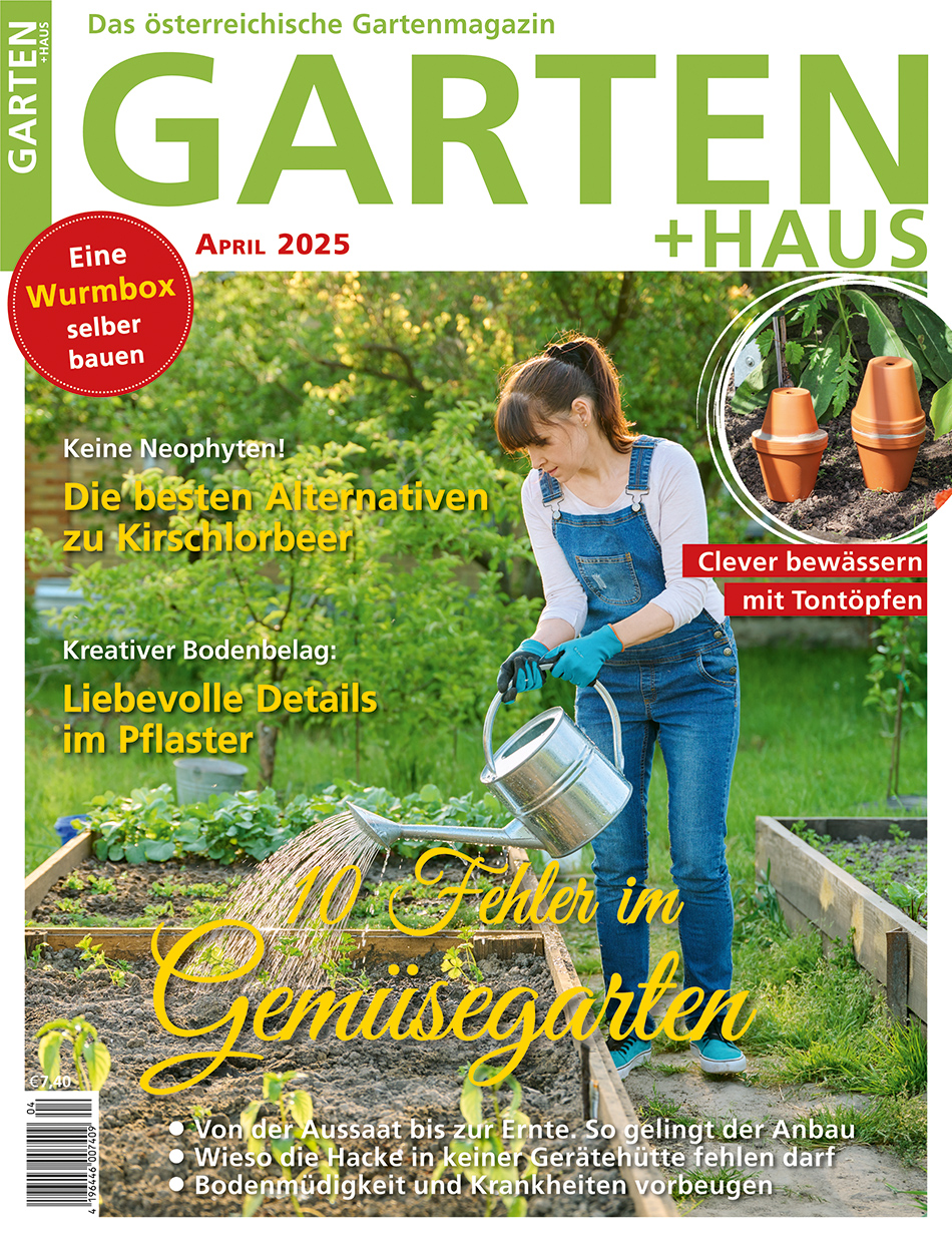 GARTEN+HAUS Ausgabe 4/2025