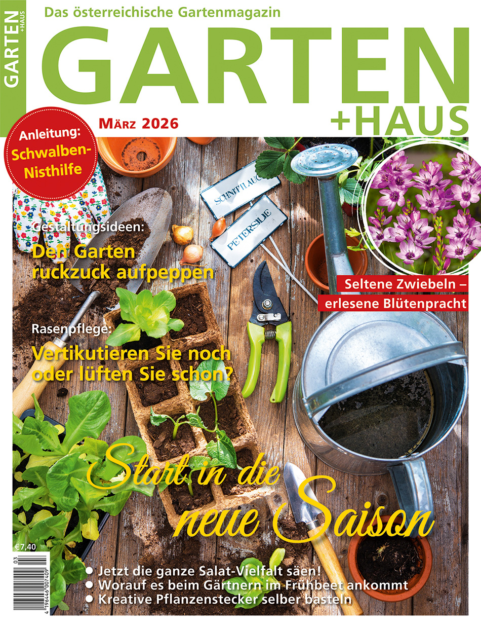 GARTEN+HAUS Ausgabe 3/2026 GARTEN+HAUS Ausgabe 3/2026