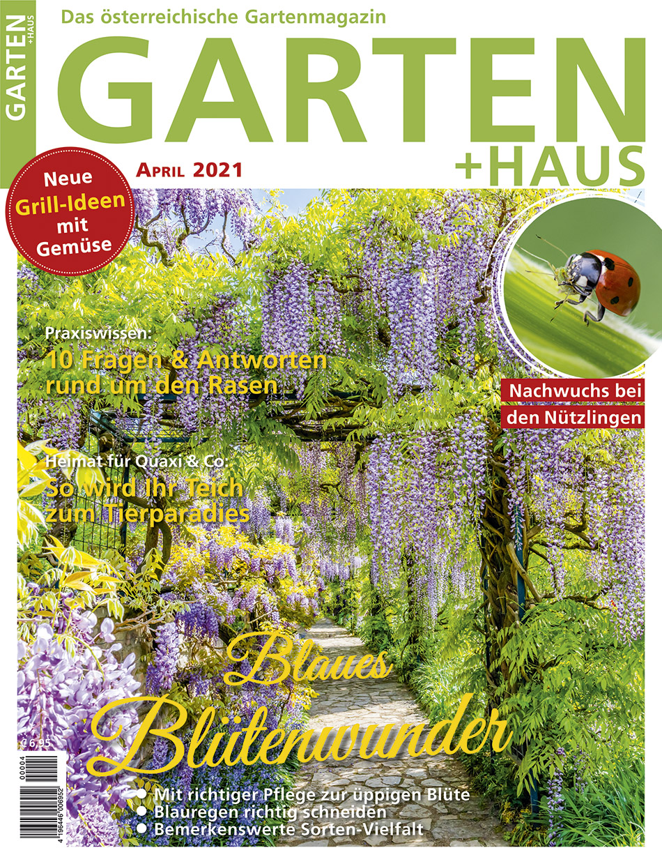 GARTEN+HAUS Ausgabe 4/2021 GARTEN+HAUS Ausgabe 4/2021