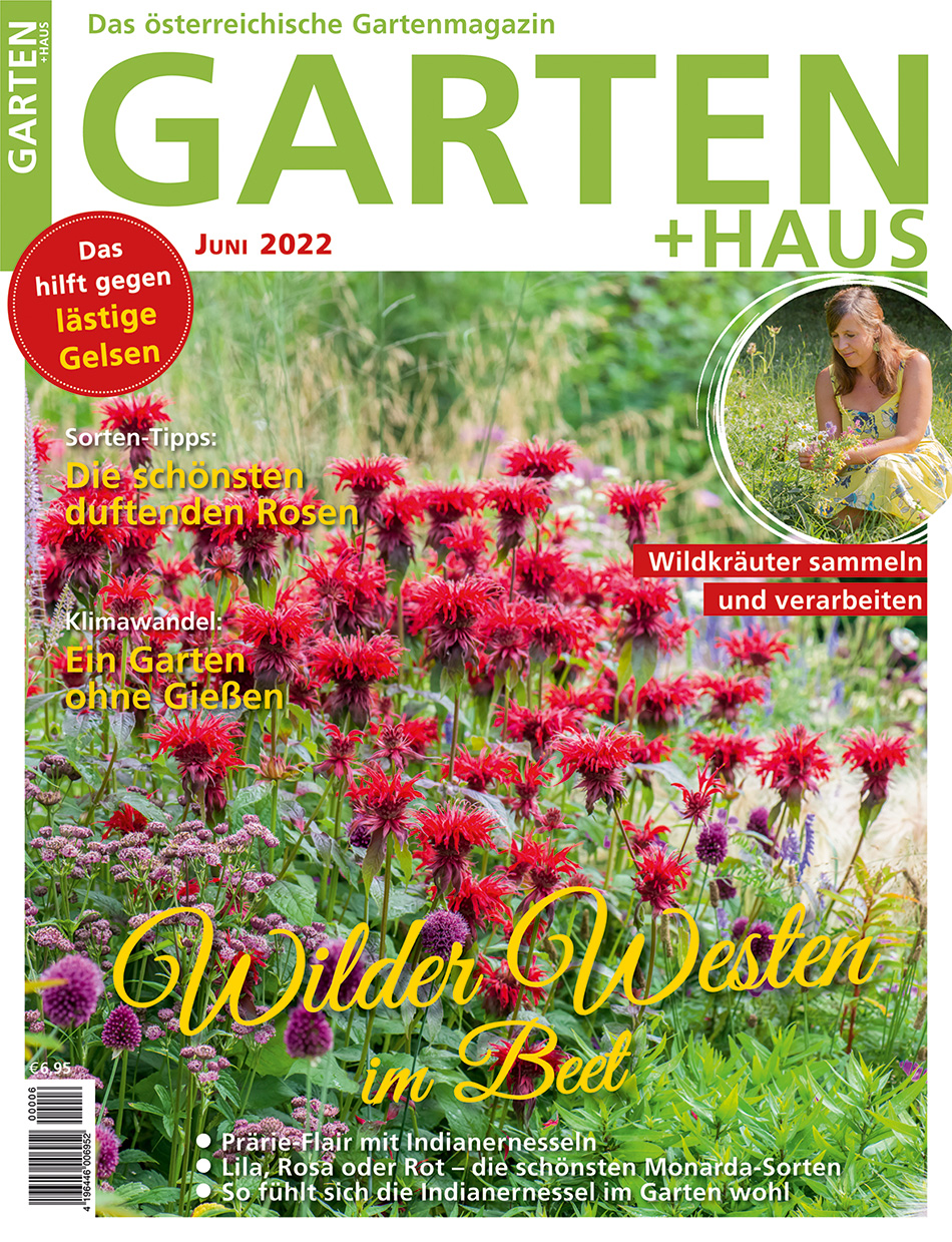 GARTEN+HAUS Ausgabe 6/2022