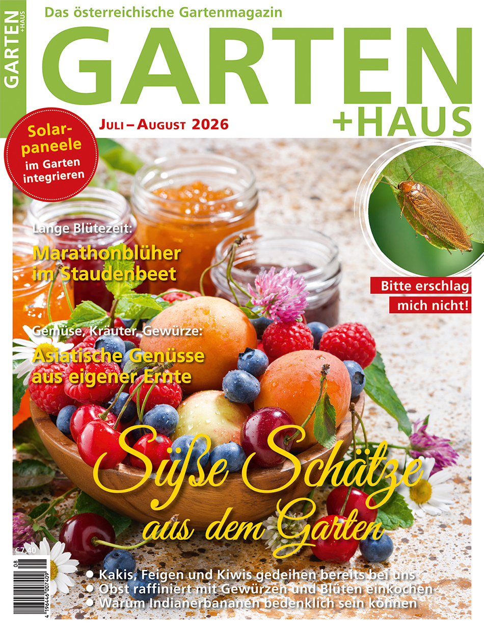 GARTEN+HAUS Ausgabe 7-8/2026