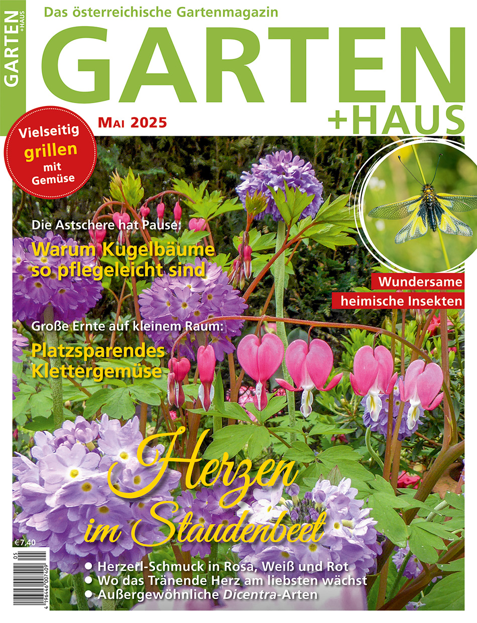 GARTEN+HAUS Ausgabe 5/2025