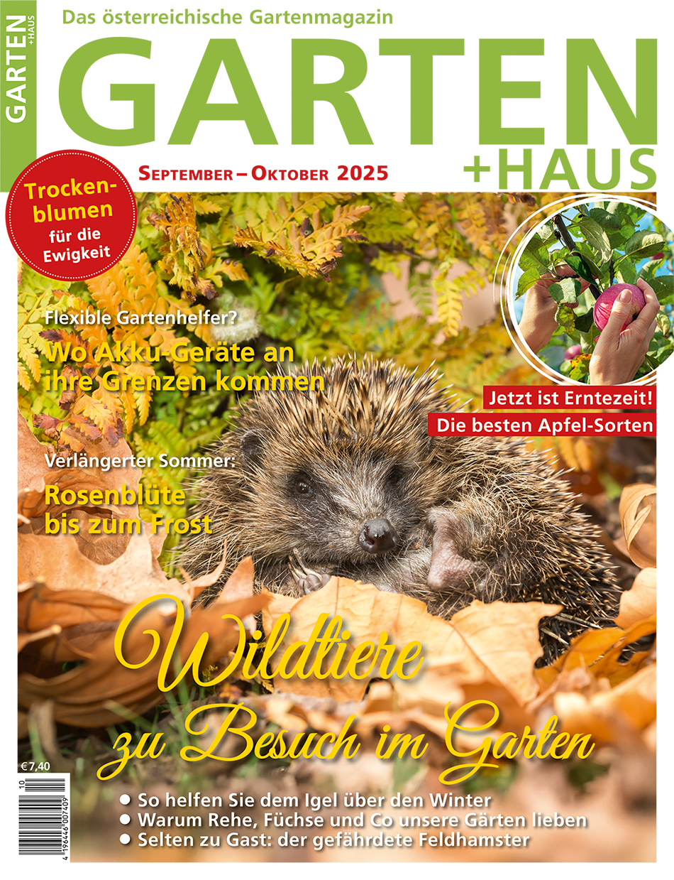 GARTEN+HAUS Ausgabe 9-10/2025 GARTEN+HAUS Ausgabe 9-10/2025