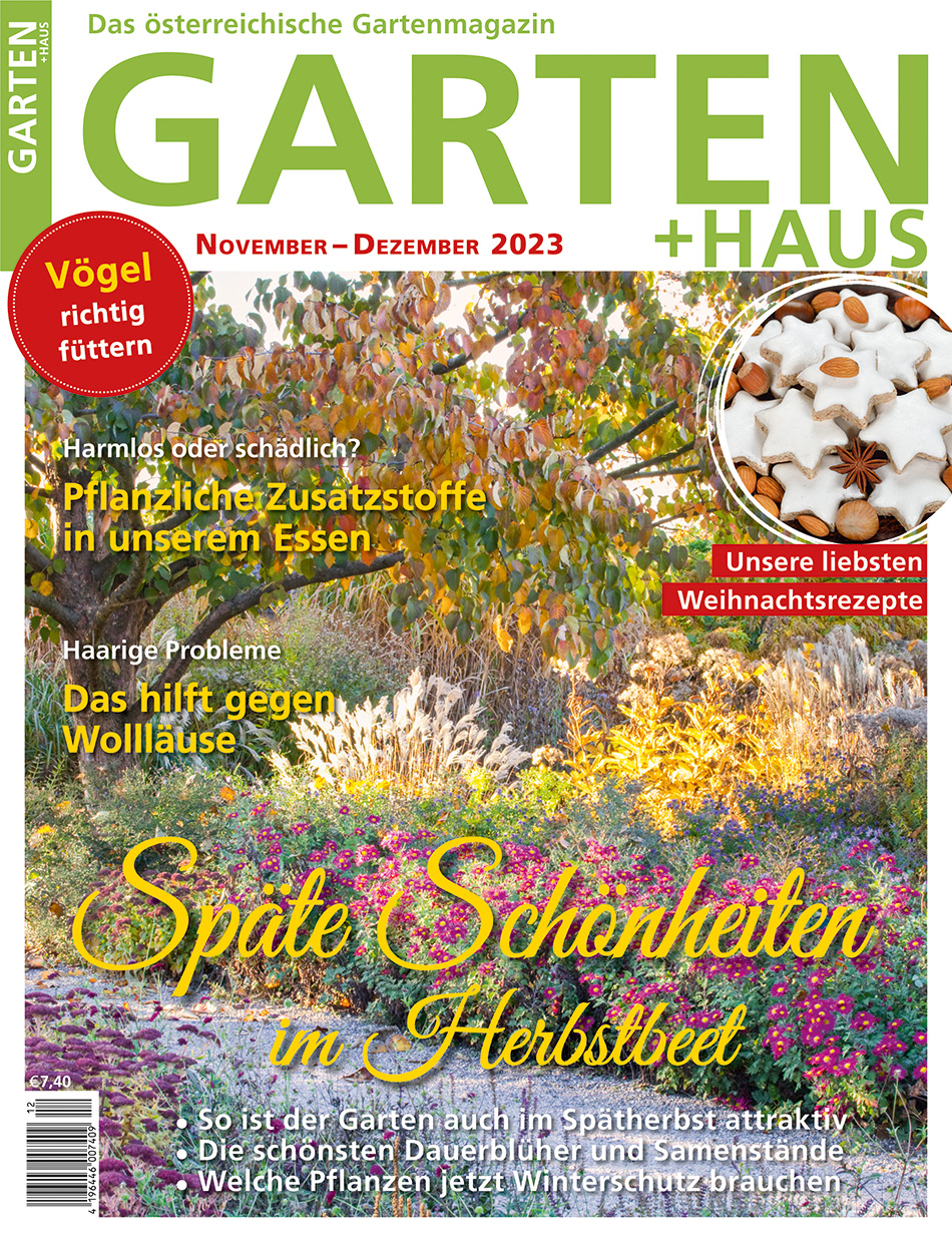 GARTEN+HAUS Ausgabe 11-12/2023 GARTEN+HAUS Ausgabe 11-12/2023