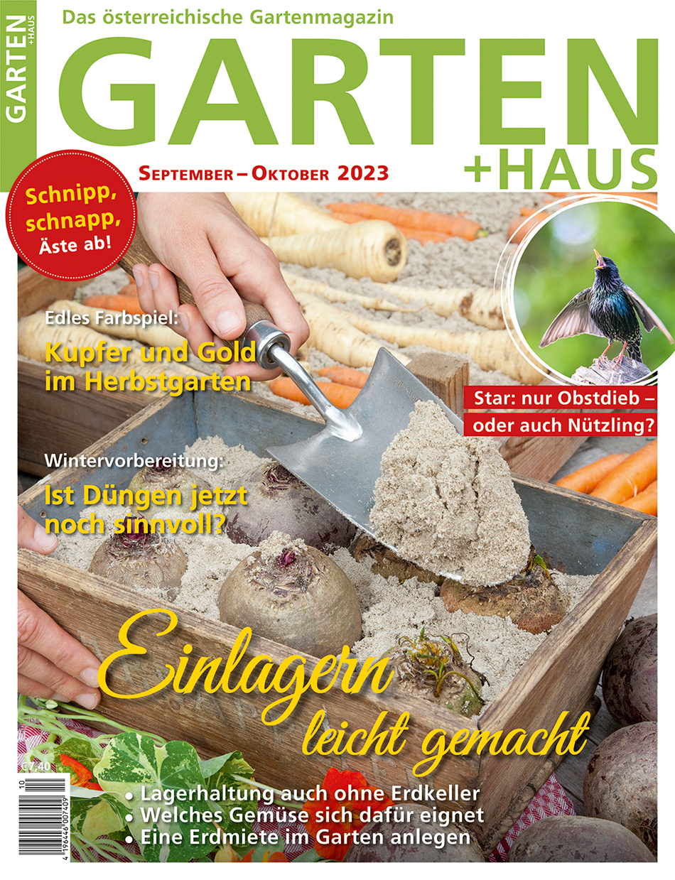 GARTEN+HAUS Ausgabe 9-10/2023 GARTEN+HAUS Ausgabe 9-10/2023