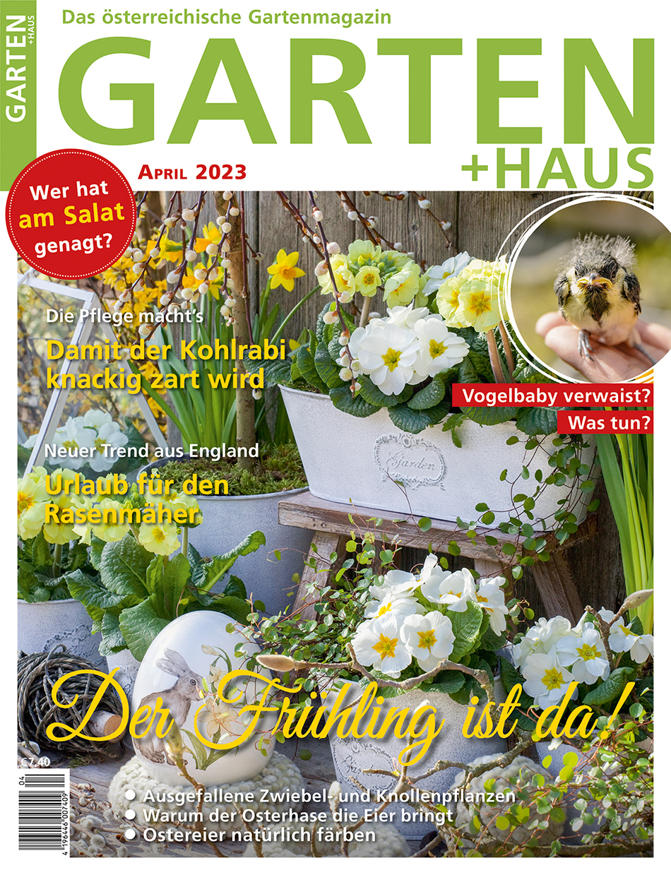 GARTEN+HAUS Ausgabe 4/2023 GARTEN+HAUS Ausgabe 4/2023