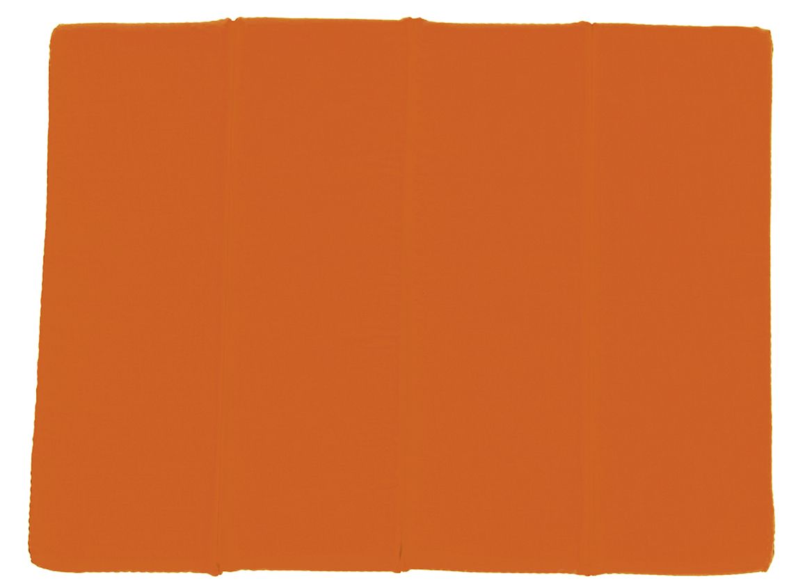 Sitzkissen orange Sitzkissen orange