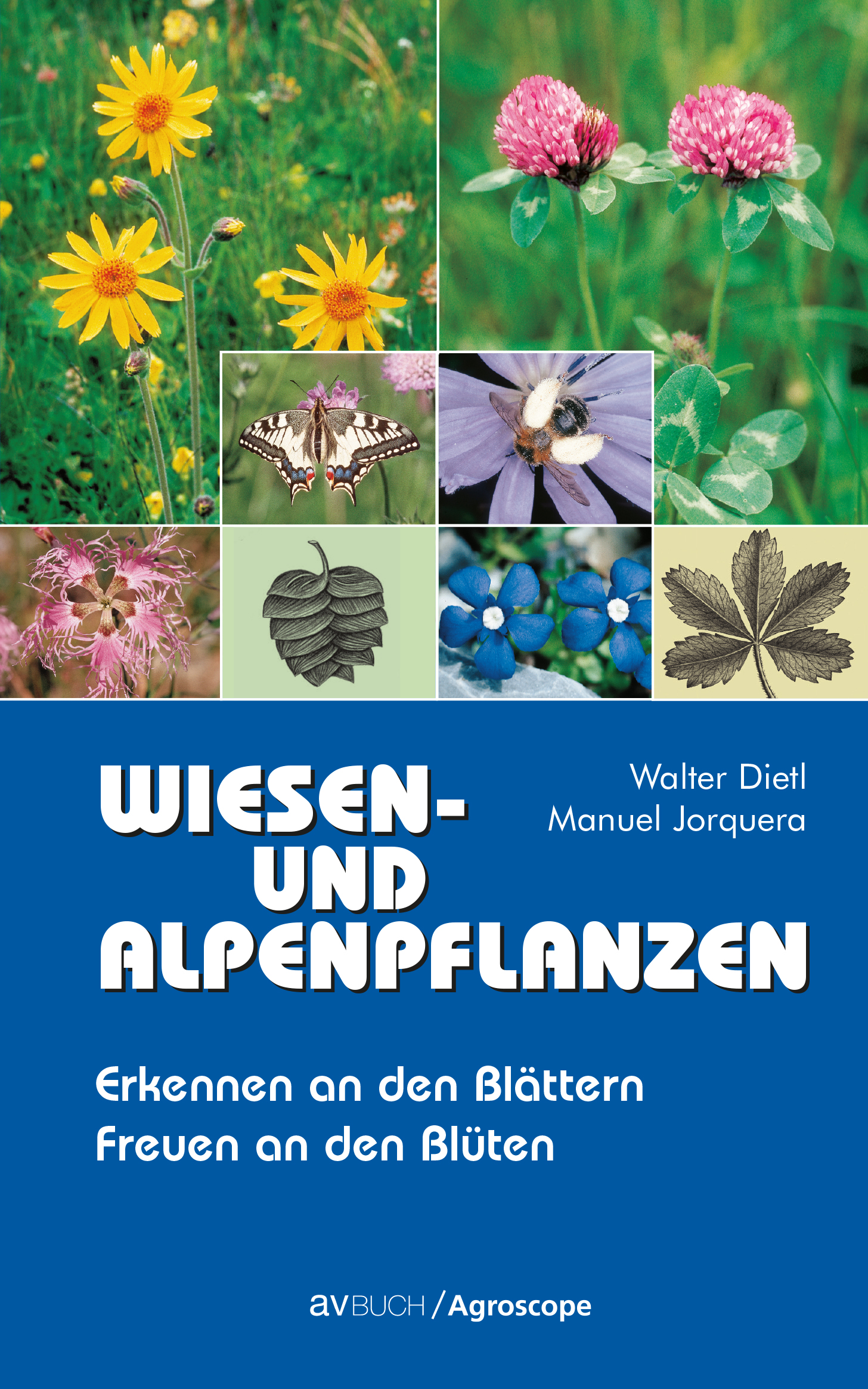 Wiesen- und Alpenpflanzen Wiesen- und Alpenpflanzen