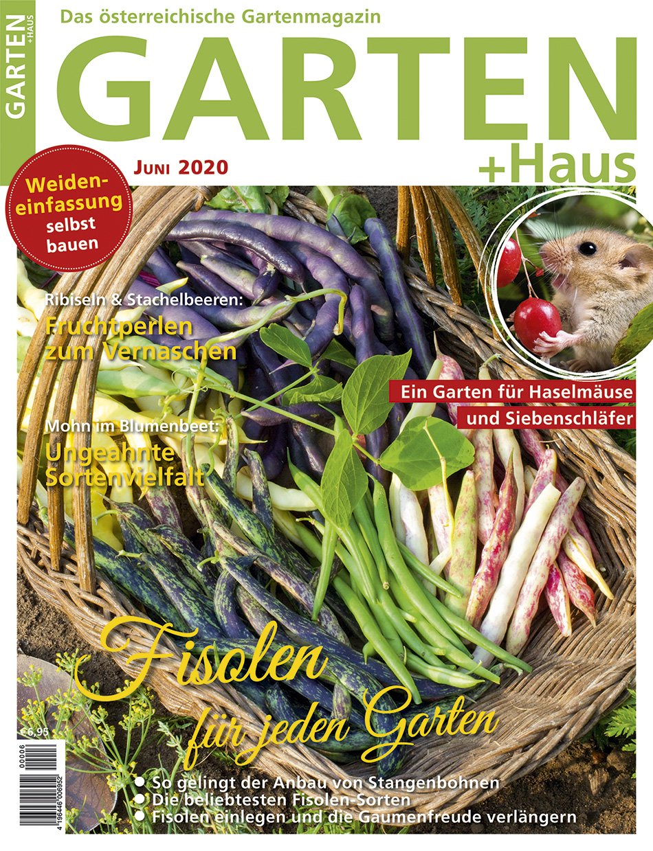 GARTEN+HAUS Ausgabe 6/2020 GARTEN+HAUS Ausgabe 6/2020