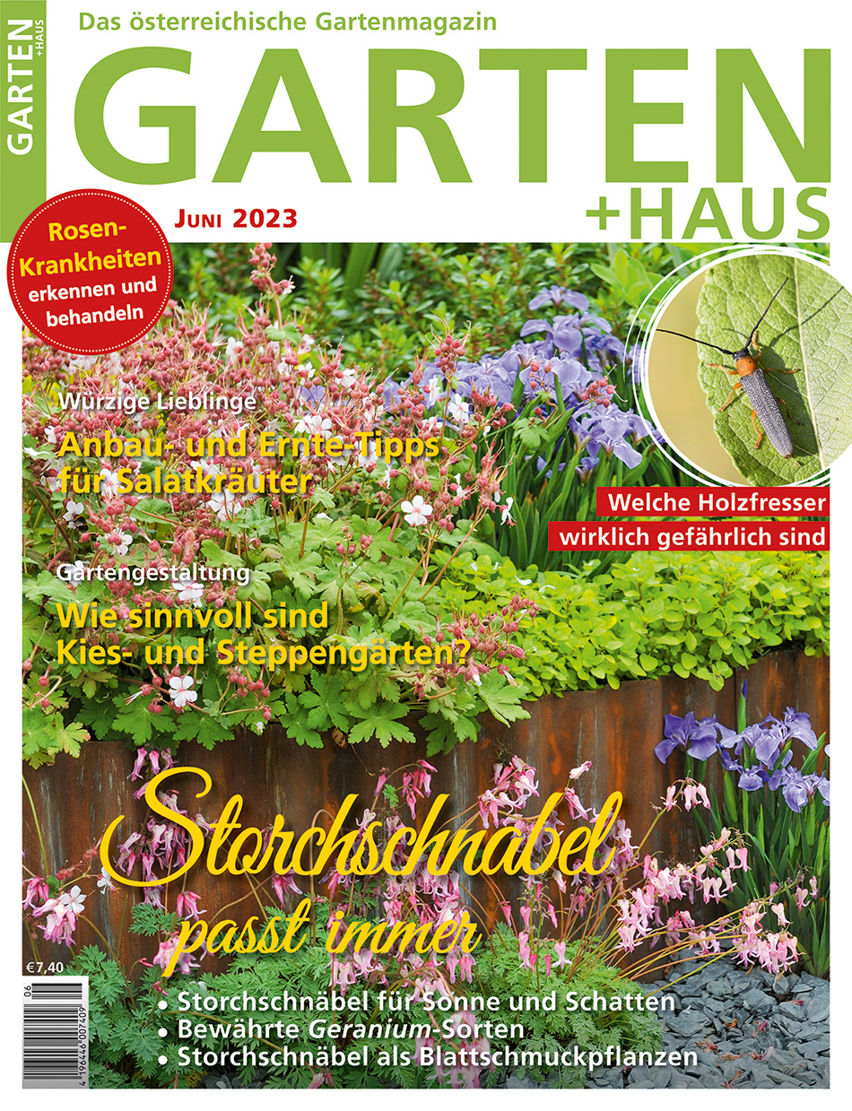 GARTEN+HAUS Ausgabe 6/2023 GARTEN+HAUS Ausgabe 6/2023