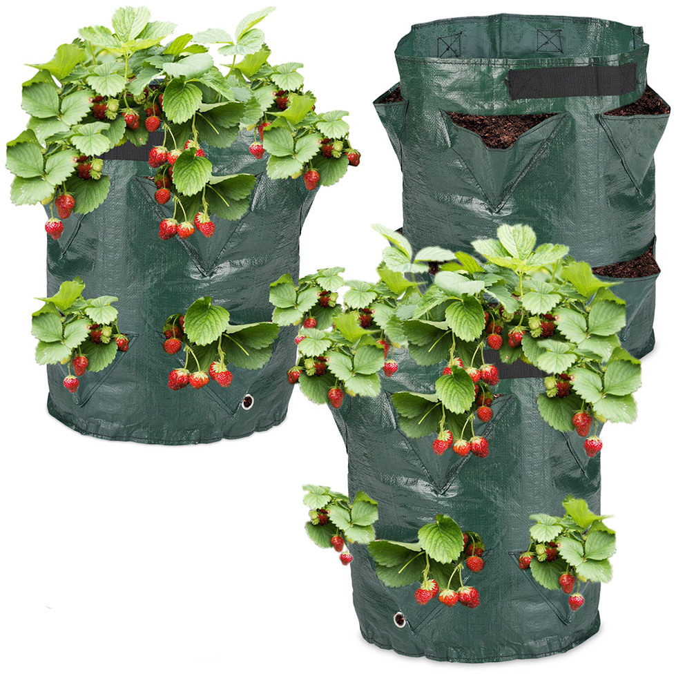 Pflanzsack für Erdbeeren