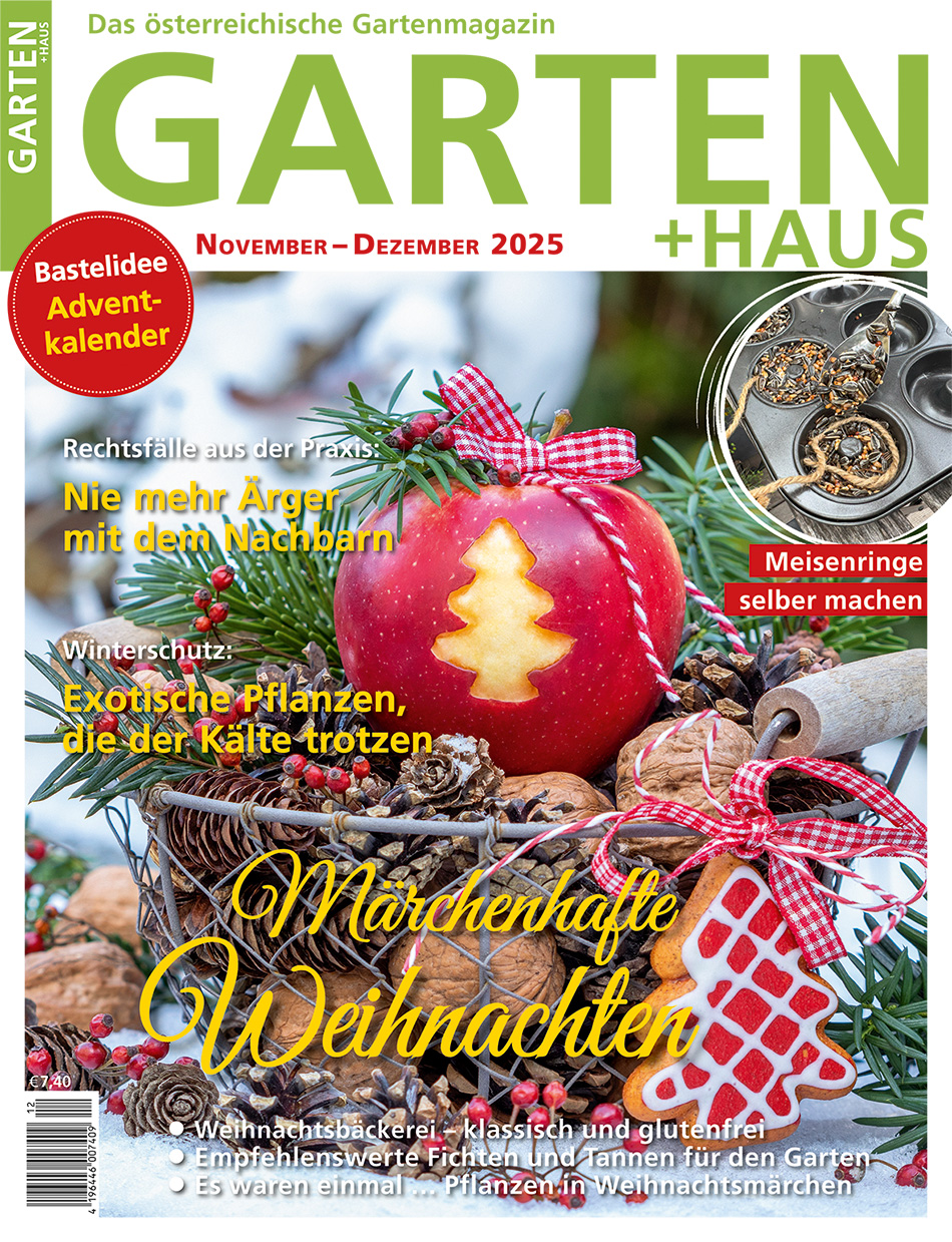 GARTEN+HAUS Ausgabe 11-12/2025 GARTEN+HAUS Ausgabe 11-12/2025