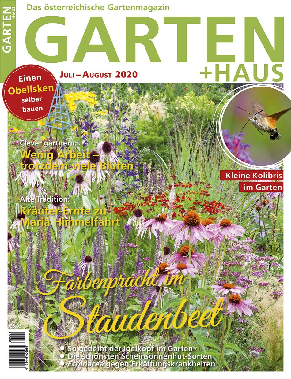 GARTEN+HAUS Ausgabe 7-8/2020 GARTEN+HAUS Ausgabe 7-8/2020