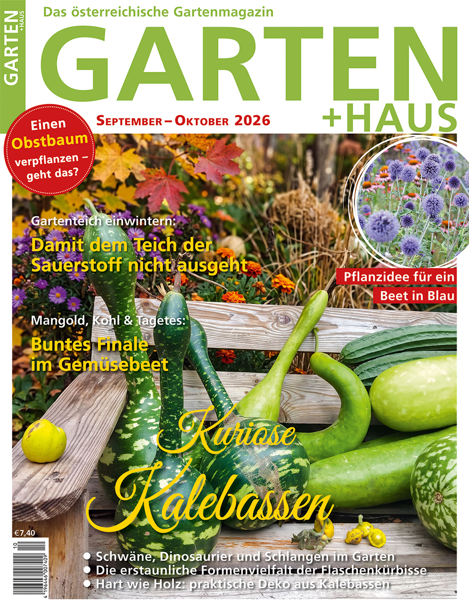 GARTEN+HAUS Ausgabe 9-10/2026