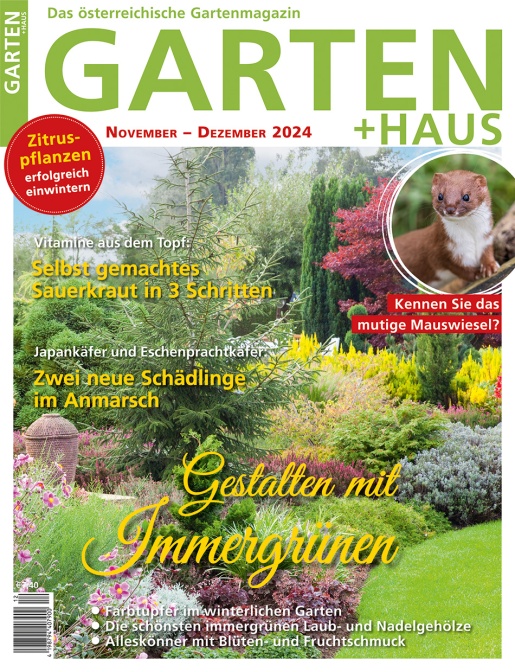 GARTEN+HAUS Ausgabe 11-12