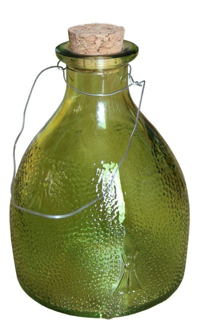 Wespenfalle grün